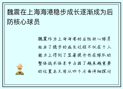 魏震在上海海港稳步成长逐渐成为后防核心球员 魏震在上海海港稳步成长逐渐成为后防核心球员